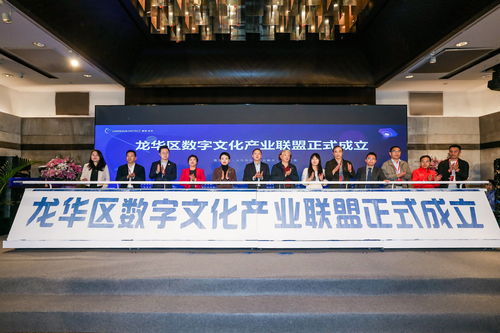文化产业之飞翼 展数字龙华之宏图 龙华区数字文化产业招商大会盛大启幕